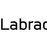 Labrador A Med