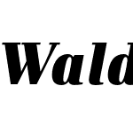 Waldorf TL Pro