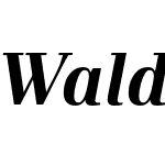 Waldorf TL Pro