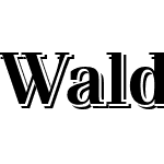 Waldorf TL Pro