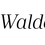 Waldorf TL Pro