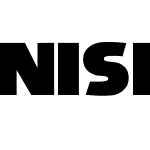 NiseSegaSonic