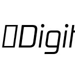 DigitalSansNowMLPro-ConLigIta