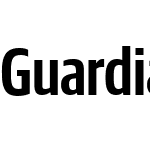 Guardian Sans XCond Web SB