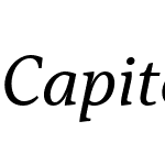 CapitolinaW03-Italic