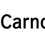 CarnovaW00-SemiBold