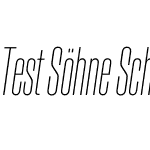 Test Söhne Schmal