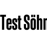 Test Söhne Schmal