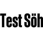 Test Söhne Schmal