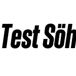 Test Söhne Schmal