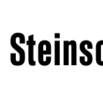 SteinschriftPro