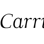 Carrig-Display