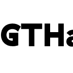 GTHaptikBlack