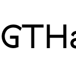 GTHaptikRegular