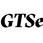 GTSectraFine-BlackItalic