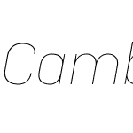 CamberW04-ThinItalic