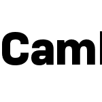CamberW04-Bold