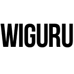 WiGuru 1