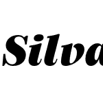 Silva Display UltraBlack