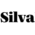 Silva Display UltraBlack