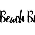 Beach Brush