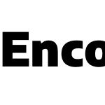 Encod3 Sans Black