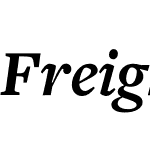 FreightTextProBold-Italic