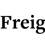 FreightTextProBold-Regular