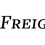 FreightTextMediumItalicSC