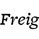 FreightMicroMediumItalic