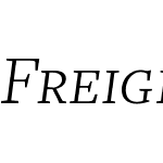 FreightTextLightItalicSC