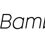 Bambino New