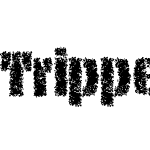 Tripper Rough Pro Bold