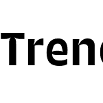 Trench Sans SemBd