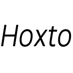 HoxtonNorthW00-LightItalic