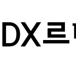 DX르네상스B