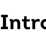 IntroW01-Bold