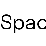 Space Grotesk