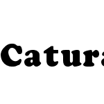 Caturapatrabangsa