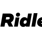 Ridley Grotesk Black Italic