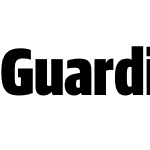 Guardian Sans XCond Black