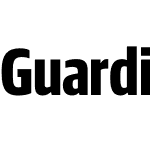 Guardian Sans XCond Bold