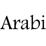 Arabic UI Text
