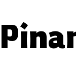 Pinar-DS1