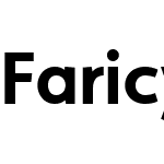 Faricy New