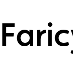 Faricy New