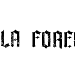 La forest grunge