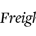 FreightTextW03-MediumItalic