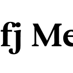 fj Meduza Text