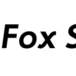 FoxSansW01-TRFBoldItalic